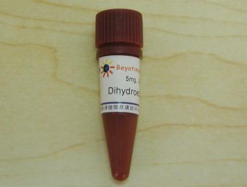 Dihydroethidium (超氧化物阴离子荧光探针)